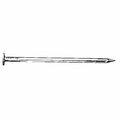 Duchesne Nail Bx 2-1/2in Hdg 50lb 23221703